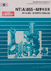 NT(A)855-MĿ¼