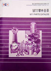 쿵˹M11Ŀ¼